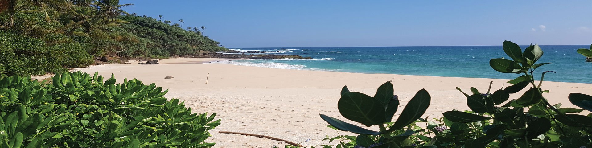 Parrotfish Bay Mirissa