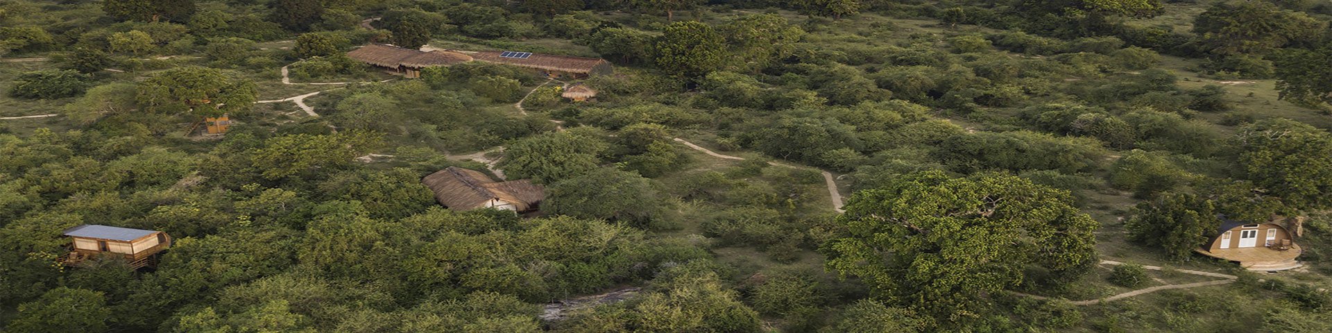 Leopard Nest