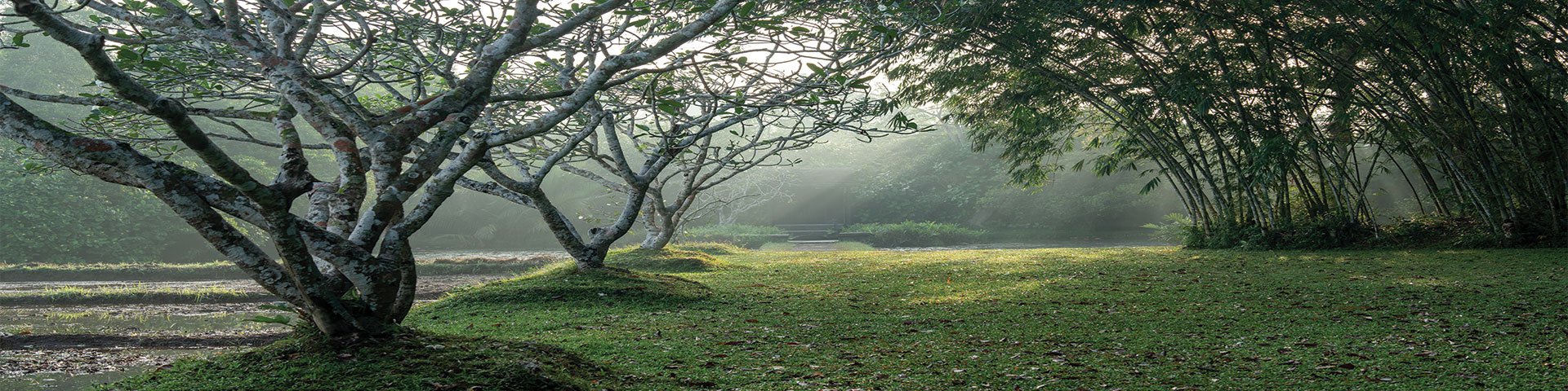 Lunuganga Estate