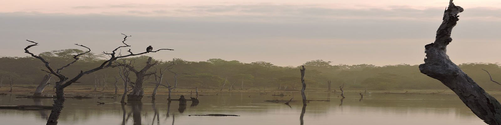 Yala National Park